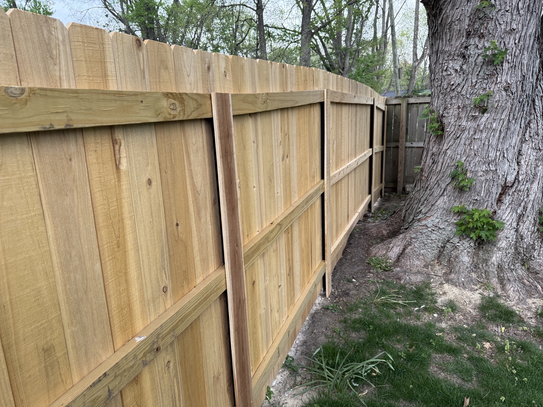 After — new cedar fence