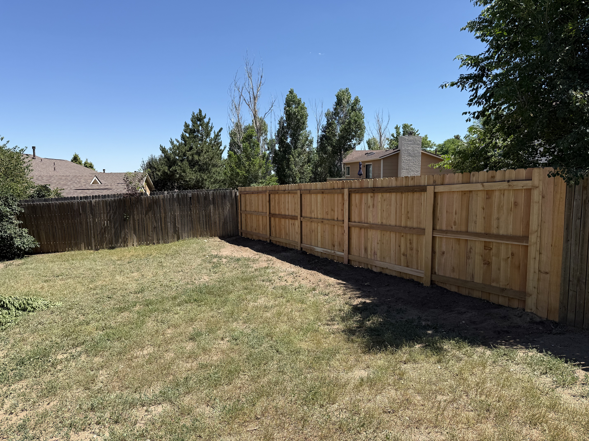After — new cedar fence